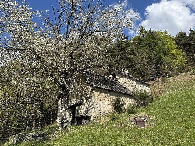 4 Zimmer Rustico zum Ausbauenmit viel Umschwung an Alleinlage, sehr sonnig, ruhig mit Panoramablick / 4 room rustic house to renovate