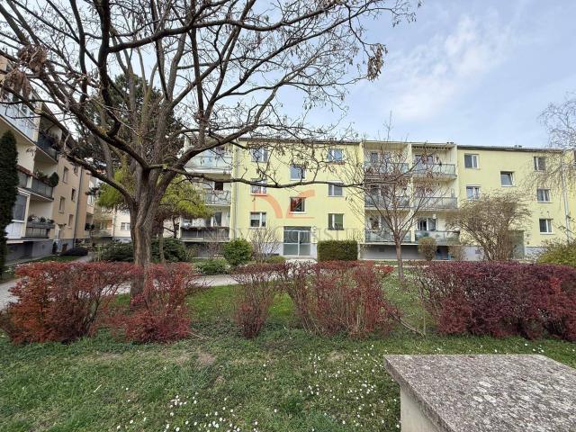 4 Zimmerwohnung mit Loggia im letzten Stock!