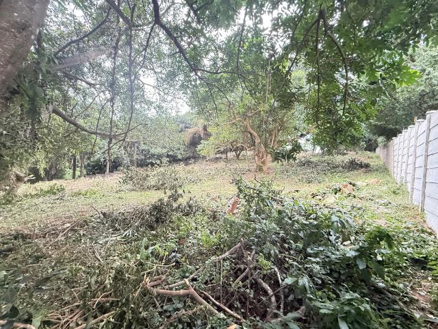4,047m² Vacant Land For Sale in Mtunzini