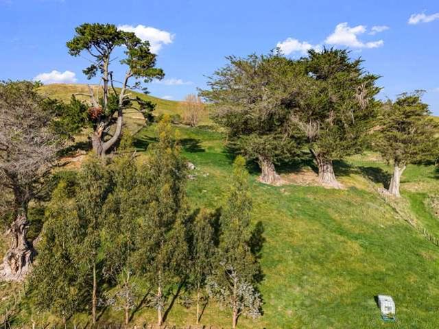 4, 127 Ongaonga Road, Waipawa, Central Hawke's Bay