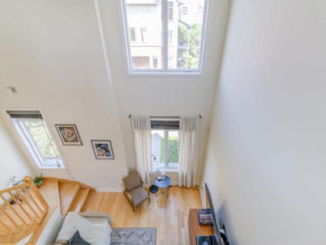 4 1/2 avec mezzanine, terrasse sur le toit et spa privé