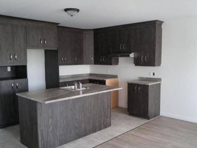 4 1/2 à louer de style Condo Rez de Chaussez Lyster Dispo 1er août