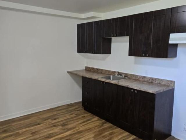 4 1/2 à louer — Louiseville — 1 160 $ / mois — disponible 1er juillet 2026