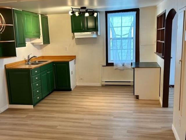 4 1/2 rénové à Saint Hyacinthe disponible le 1er septembre