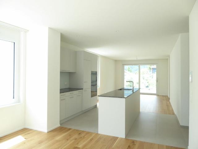 4 1/2 Zimmer Wohnung Neubauprojekt Rheincity