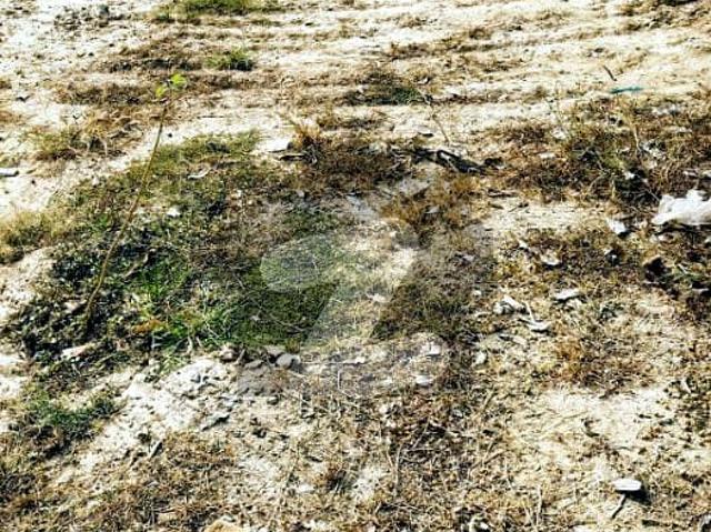 4.25 Marla Commercial Plot For Sale