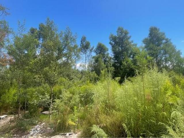 4 283 m² Land available in Stormsrivier