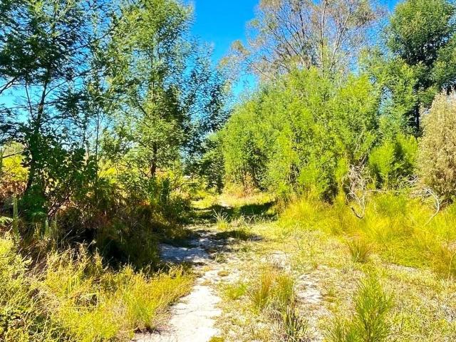 4,283m² Vacant Land For Sale in Storms River Village