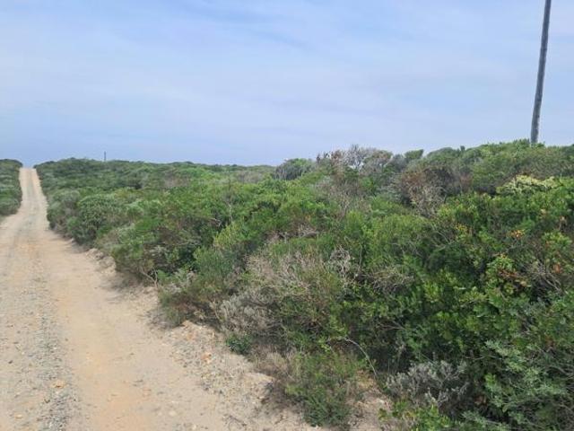 4.2 ha Land available in Birkenhead