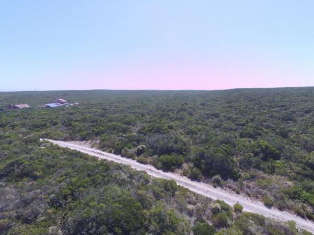 4.2 ha Land available in Birkenhead