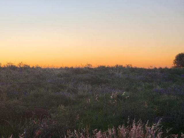 4.2 ha Land available in Groenvlei SH