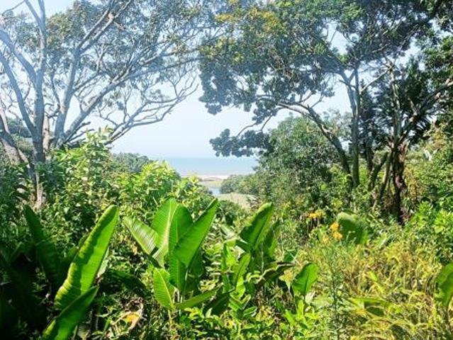 4 389 m² Land available in Southbroom