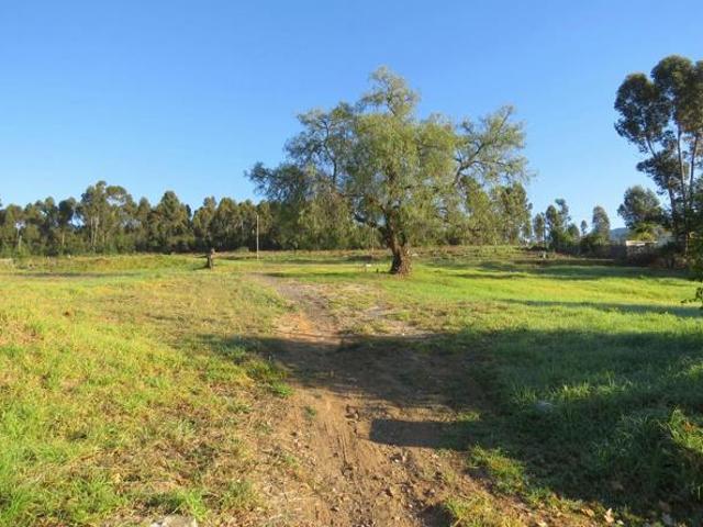 4 334 m² Land available in Swellendam