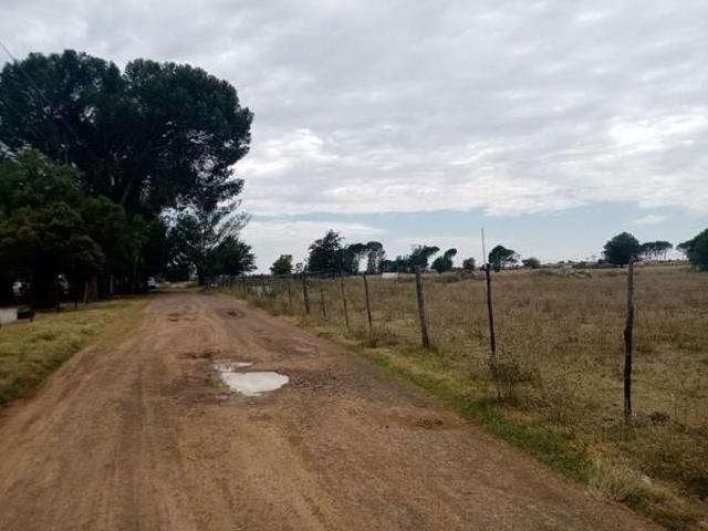 4.3 ha Land available in Bloemspruit