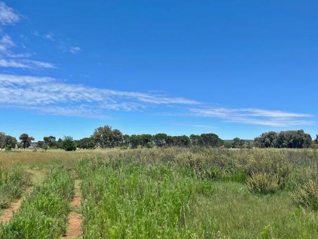 4.3 ha Land available in Roodewal