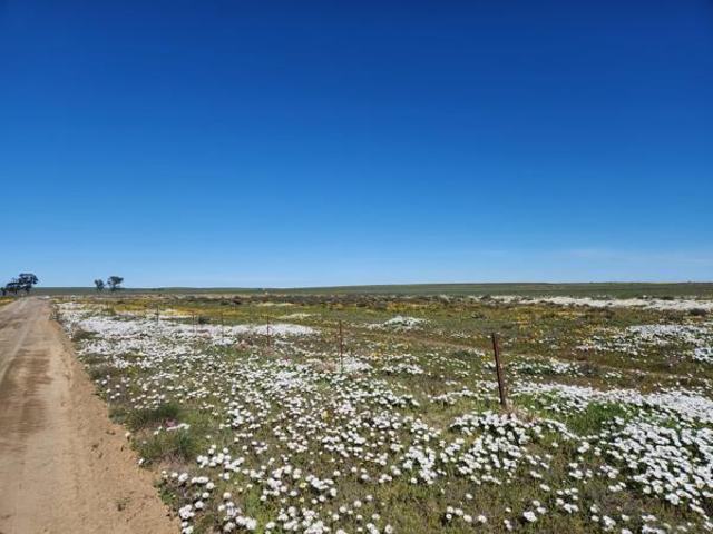 4 460 m² Land available in Nieuwoudtville