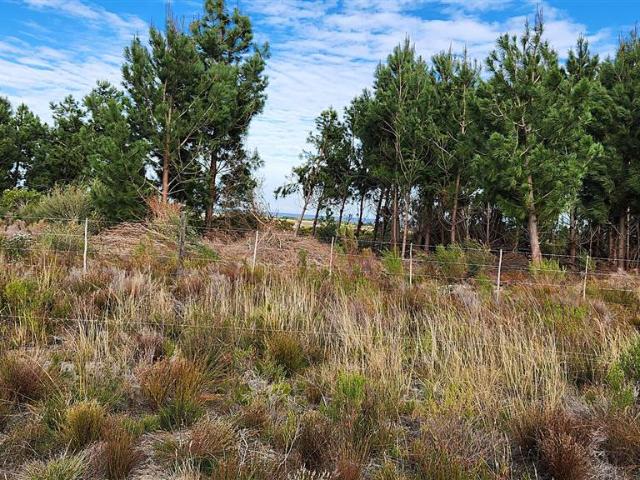 4.4 ha Land available in Kleinmond