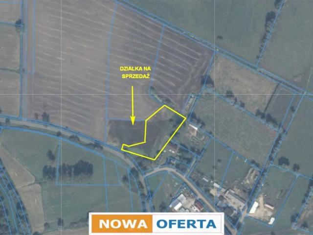 4 561 m², Węzina
