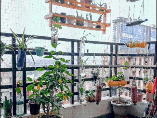4.5 BHK Apartment in Sector 137 for resale Noida. The reference number is 20840595