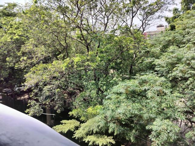 4.5 BHK Independent Builder Floor in Hauz Khas for rent New Delhi. The reference number is 19588825