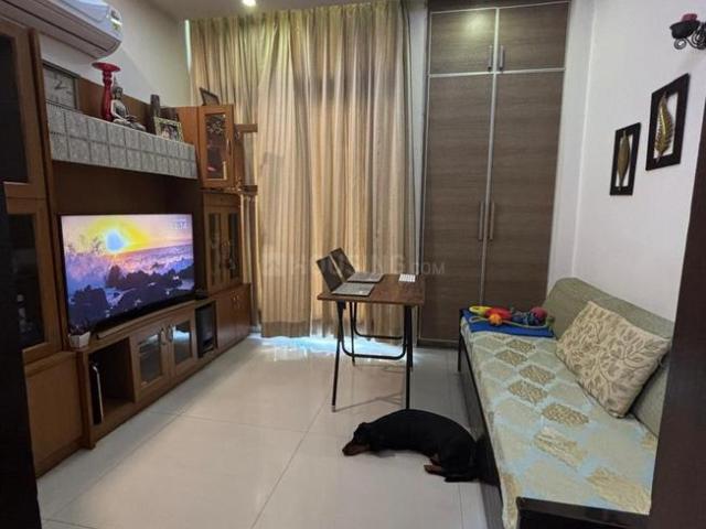 4.5 BHK Independent Builder Floor in Sector 47 for rent Gurgaon. The reference number is 20256138