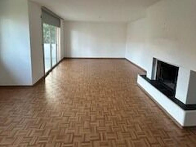 4.5 room apartment for rent in Brissago with lake view