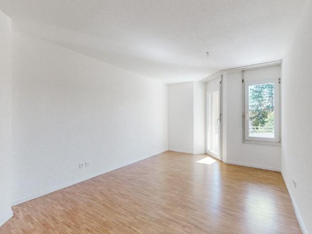 4.5 room apartment in a beautiful setting! First Miezins given away!