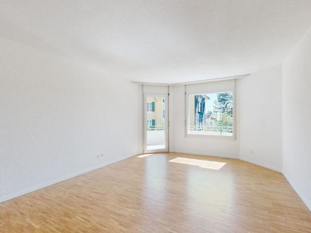 4.5 room apartment in a beautiful setting! First Miezins given away!