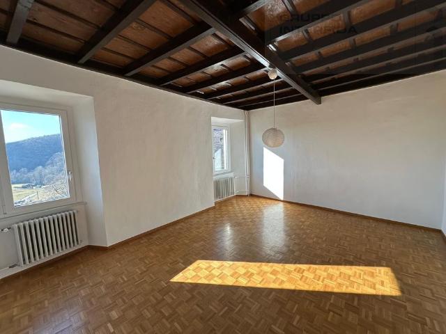 4.5 ROOM APARTMENT IN PRESTIGIOUS NUCLEAR HOUSE