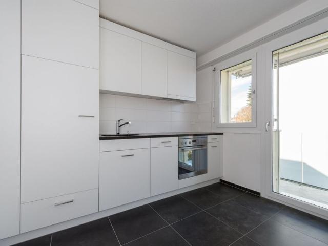 4.5 room apartment in the countryside and directly on the edge of the forest