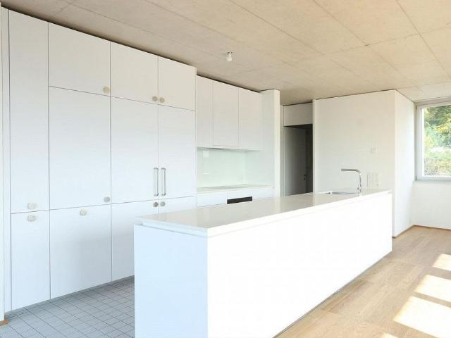 4.5 room apartment in Therwil