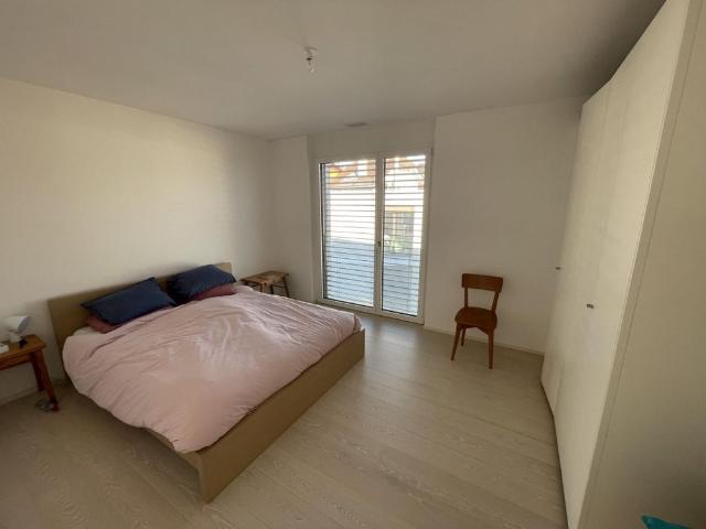 4.5 rooms contemporary