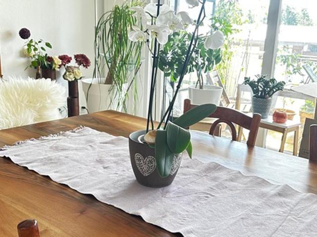 4,5 Zi Wohnung in Saignelgier