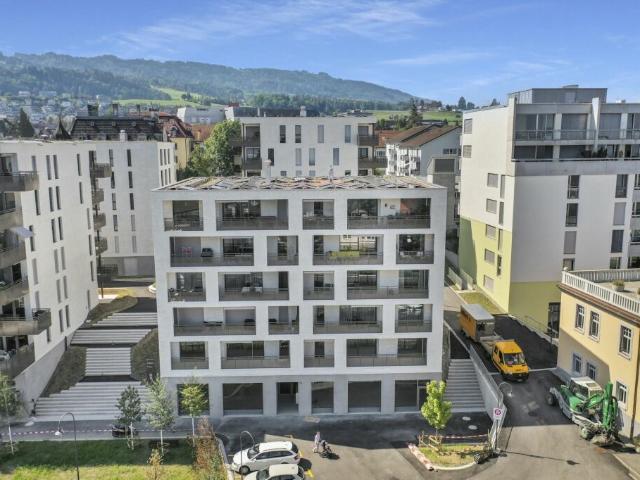 4.5 Zimmer Neubau Wohnung