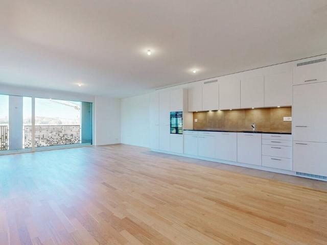 4.5 Zimmer Neubauwohnungen zu vermieten