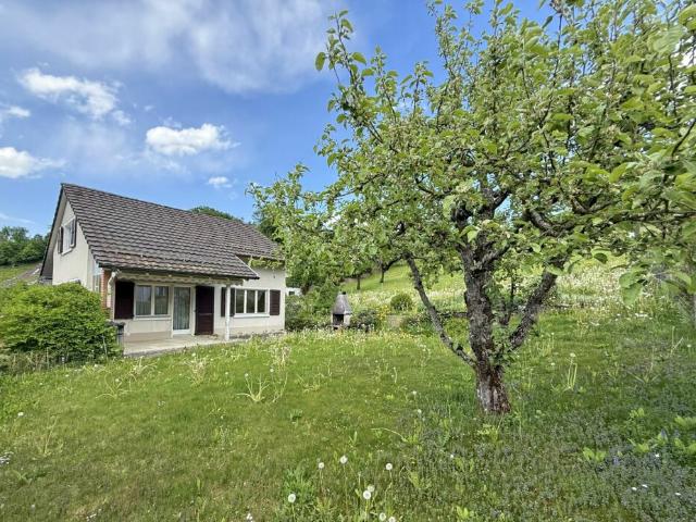 4.5 Zimmer Einfamilienhaus im Grünen