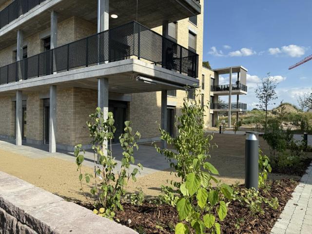 4.5 Zimmer Erdgeschosswohnung mit grosszügigem Garten D 0.5