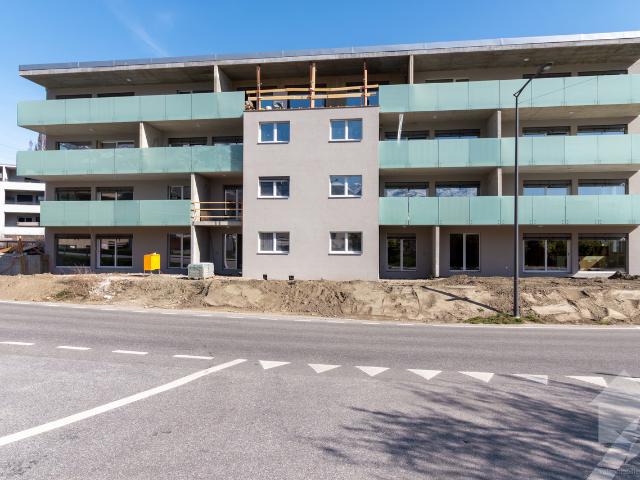 4.5 Zimmer Penthouse nach Westen mit freiem Blick auf die Alpen