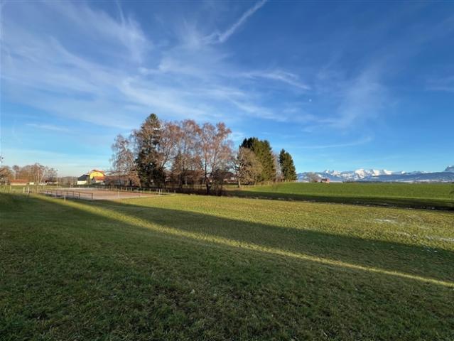 4,5 Zimmer Pferdefarm, Stall, Weide, Parks