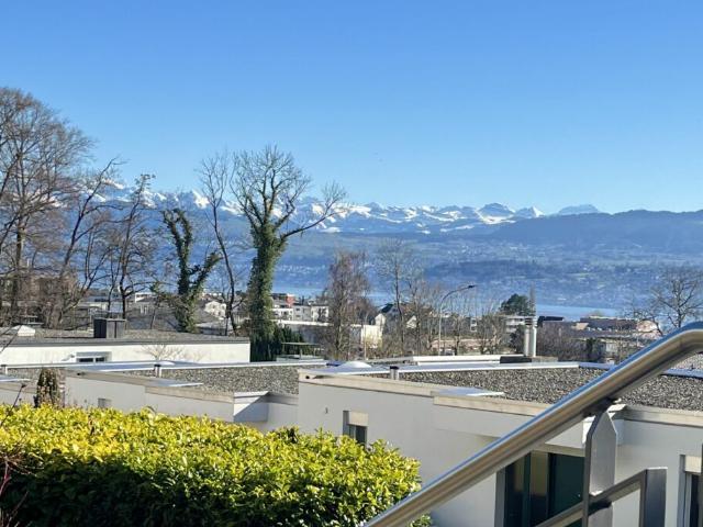 4.5 Zimmer Terrassenwohnung mit herrlichen Aussenflächen und traumhafter Weitsicht!