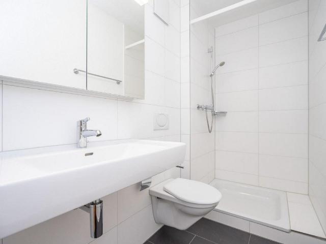 4.5 Zimmer Wohnung