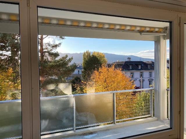 4.5 Zimmer Wohnung
