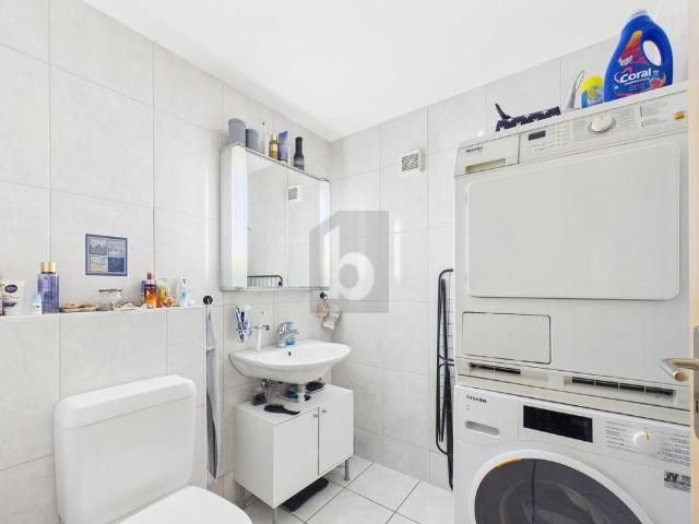 4.5 Zimmer, 150 m², 2. Stock