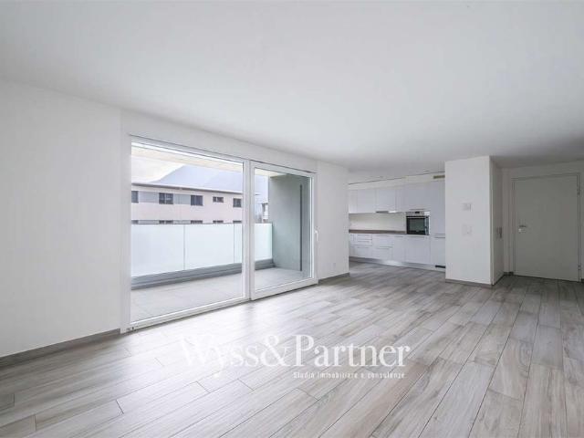 4.5 Zimmer, 100 m²