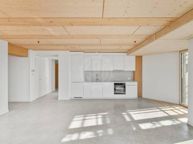 4.5 Zimmer, 105 m², 9. Stock