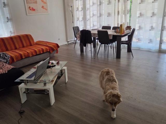 4.5 Zimmer, 110 m²