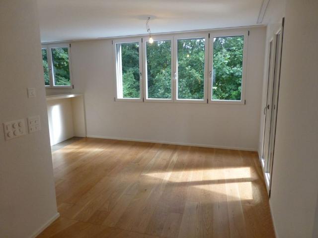 4.5 Zimmer, 114 m², 1. Stock