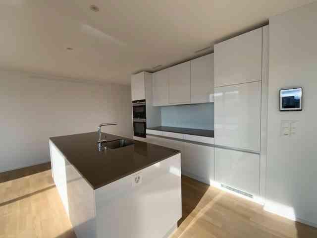 4.5 Zimmer, 114 m², 3. Stock