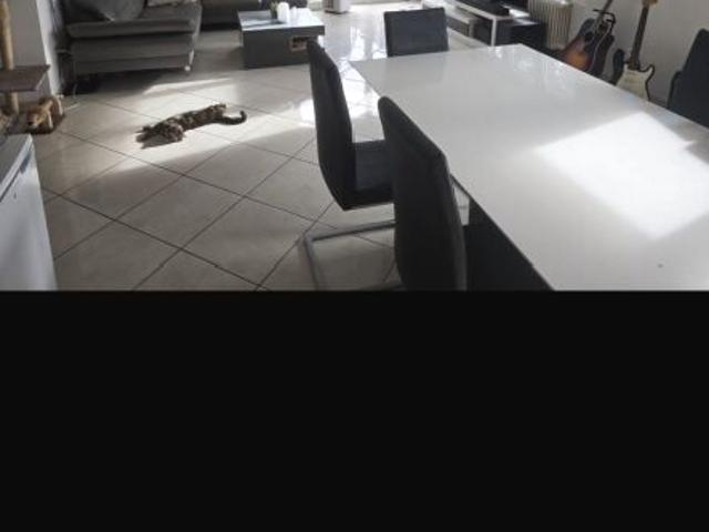 4.5 Zimmer, 124 m², 1. Stock