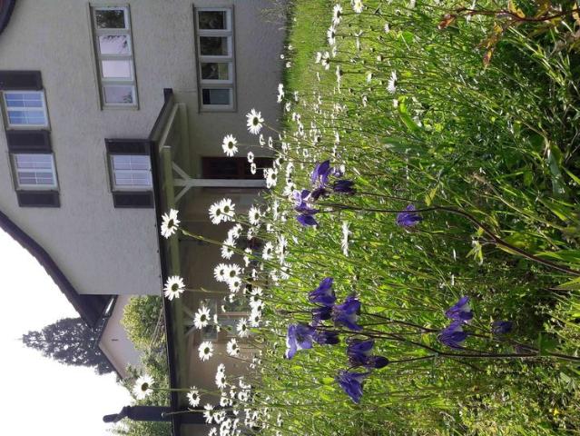 4.5 Zimmer, 80 m², EG